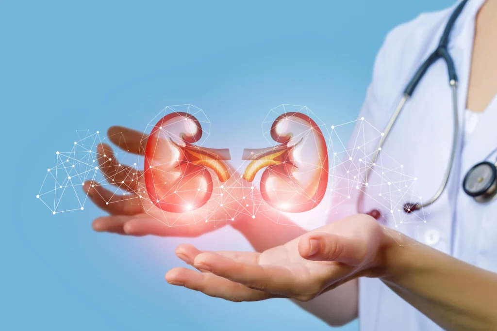 Kidney Stone And मूतखडा Sonography in Nashik